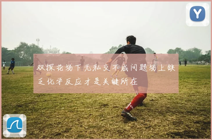 双探花场下无私交不成问题场上缺乏化学反应才是关键所在