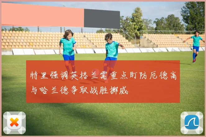特里强调英格兰需重点盯防厄德高与哈兰德争取战胜挪威